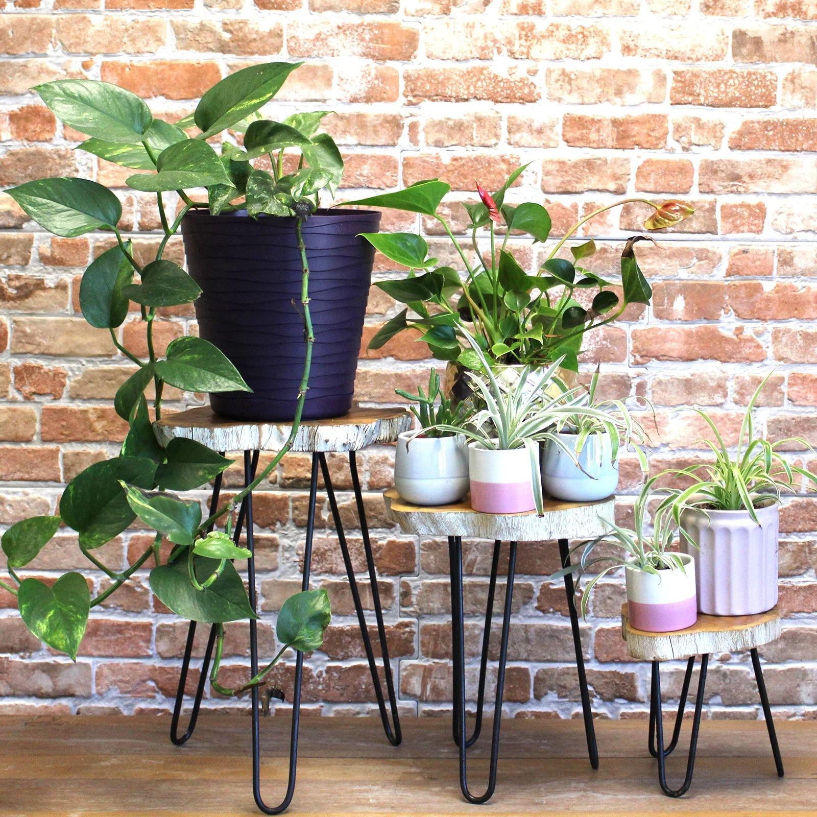 Product image 119