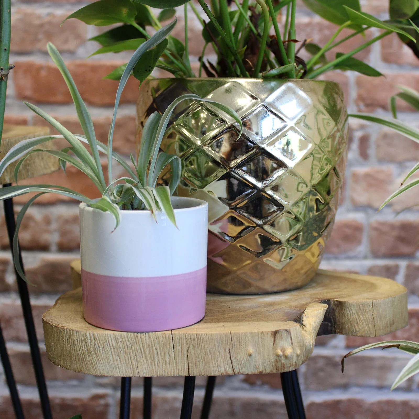 Product image 137